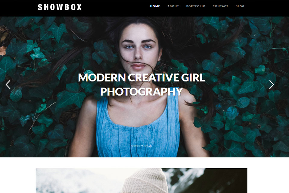 showbox free wordpress theme for portfolios