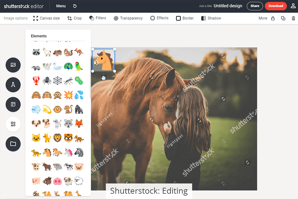 shutterstock editing