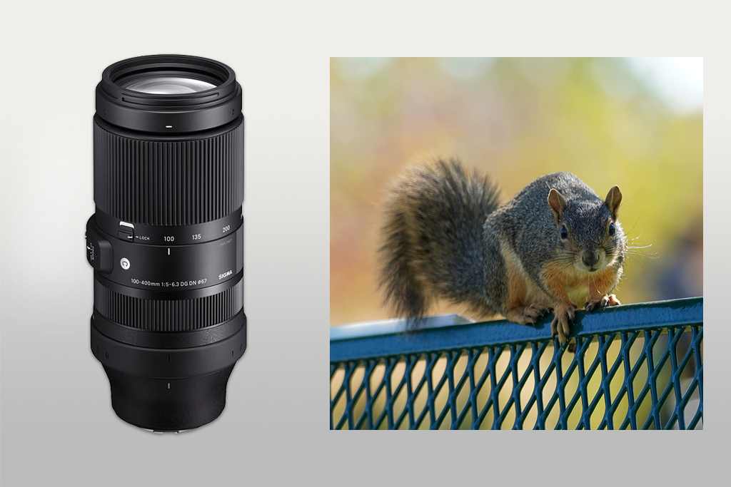 sigma 100-400mm c dg dn os lens example