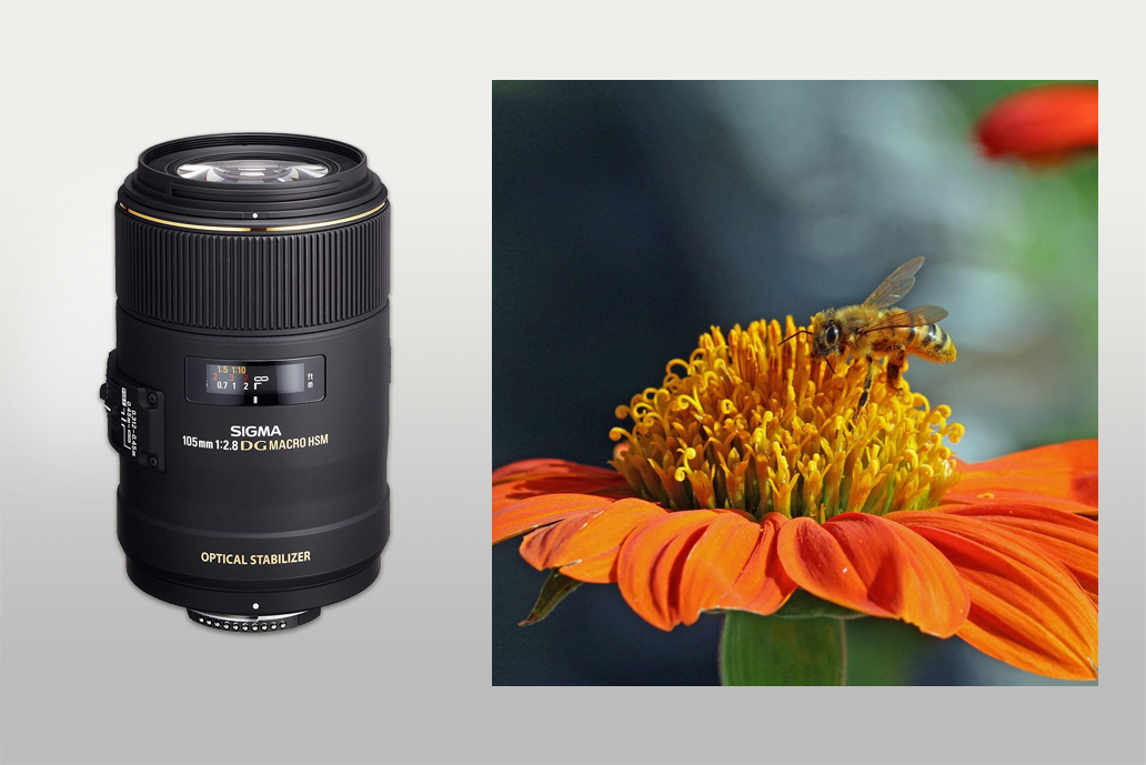 sigma 105mm ex dg os hsm macro lens for nikon d3300