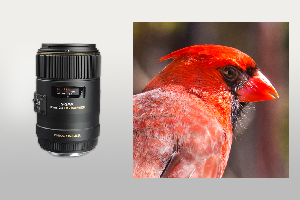 sigma 105mm f/2.8 ex dg os hsm macro lens for canon