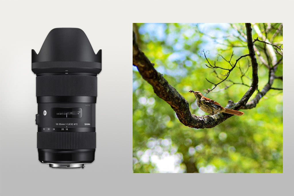 sigma 18-35mm dc hsm art lens for d3500