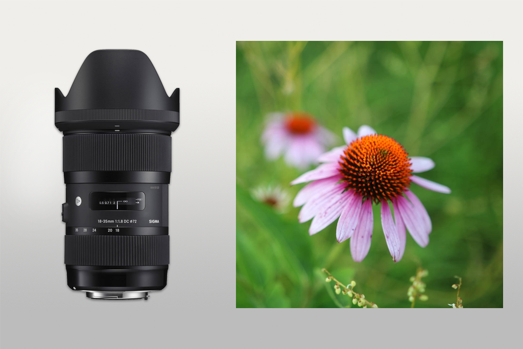sigma 18-35mm f1.8 art dc hsm lens