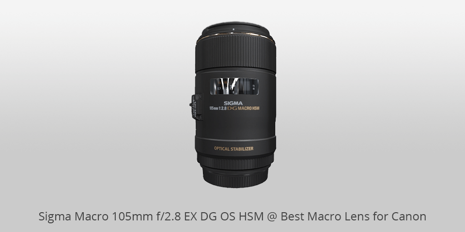 best sigma macro lens for canon