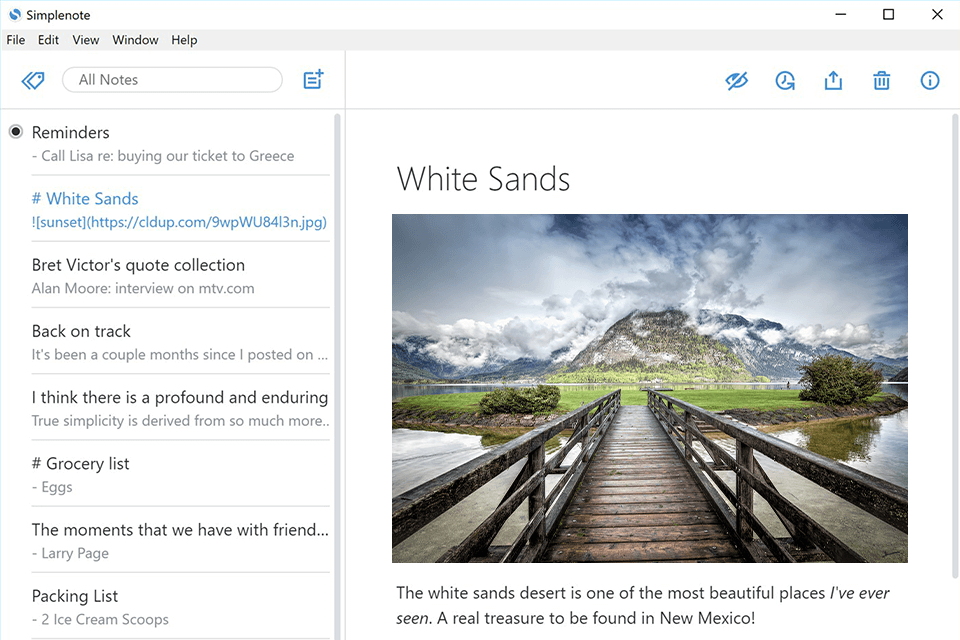 simplenote interface