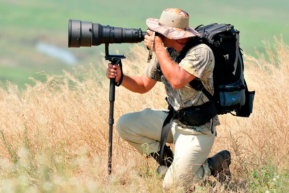 8 Best Budget Monopods in 2023 Buyer’s Guide