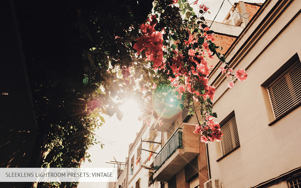 sleeklens lightroom presets vintage