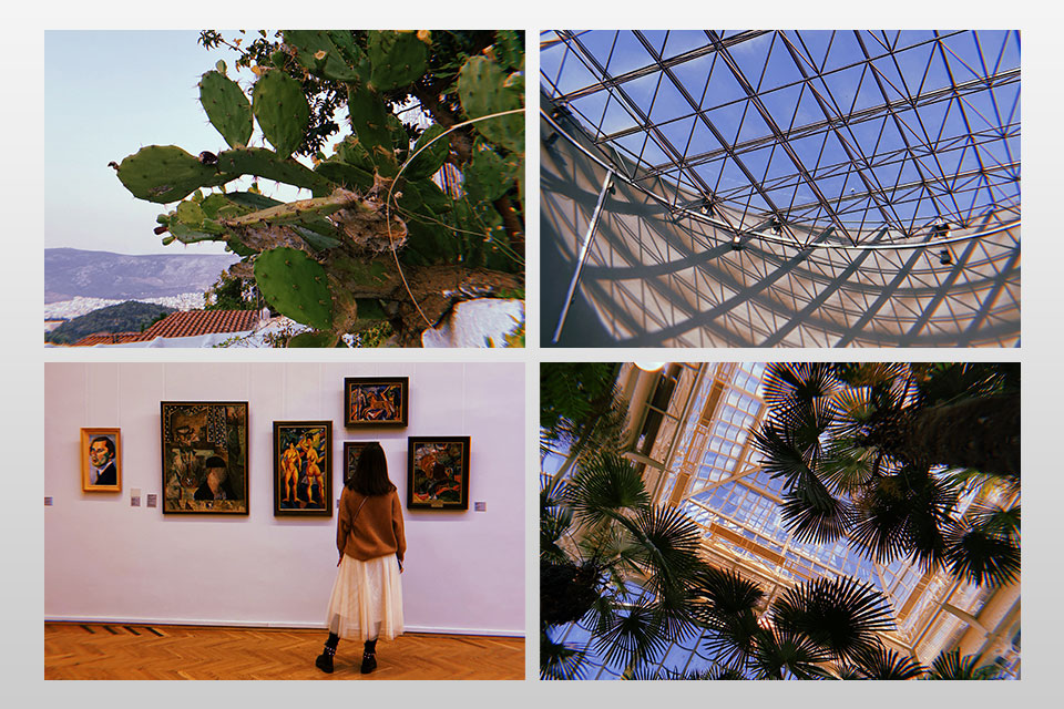 smartphone photography collage