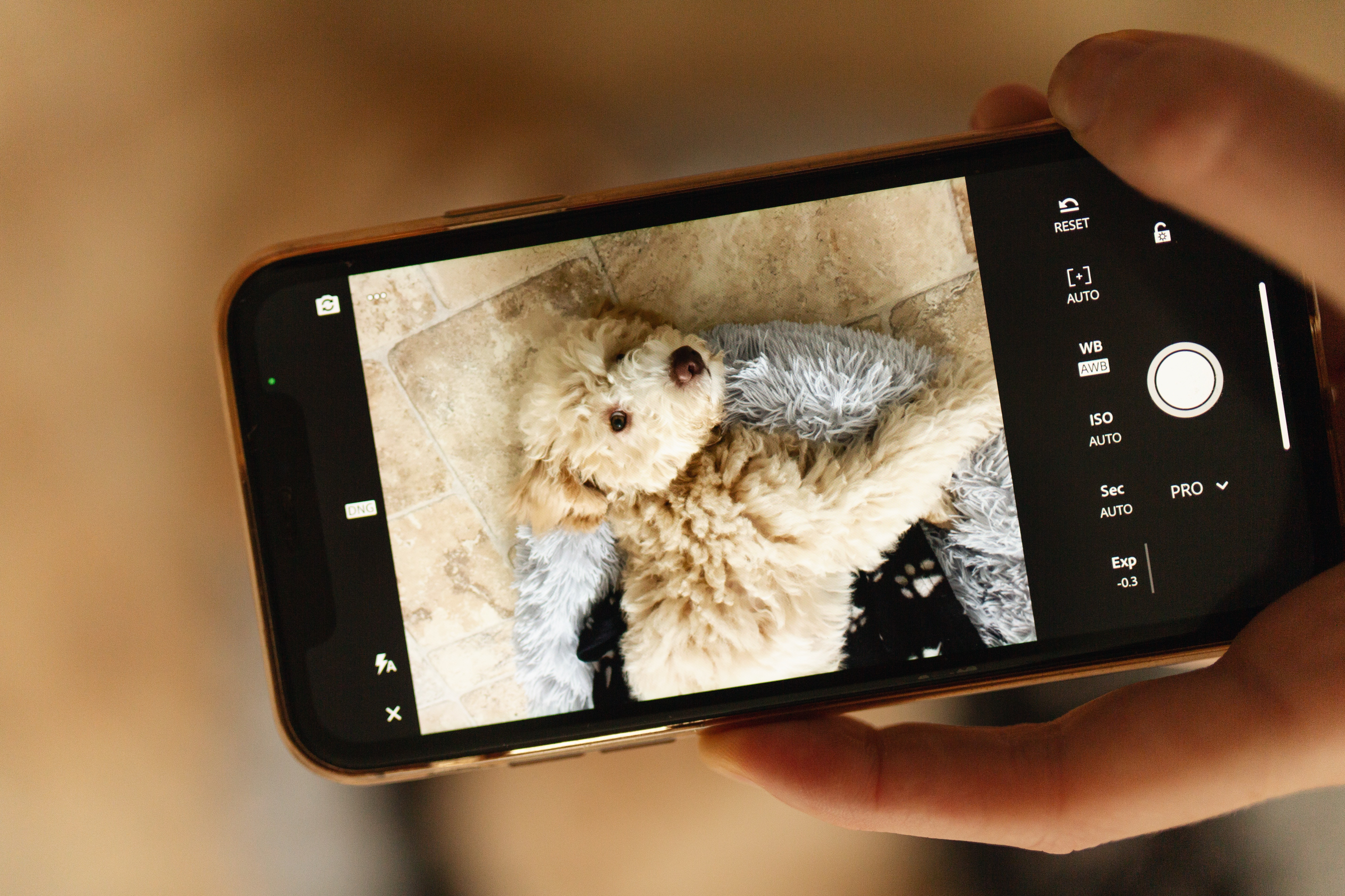 smartphone photography raw lightroom app