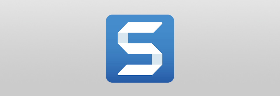 snagit download logo