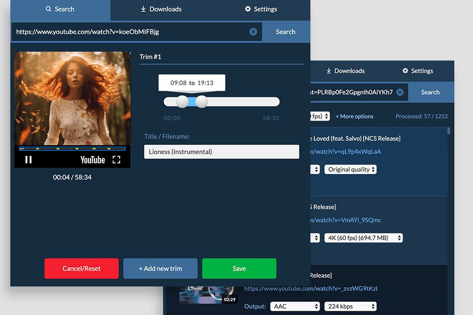 snapdownloader free youtube downloader interface