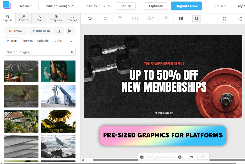 snappa mega creator alternative