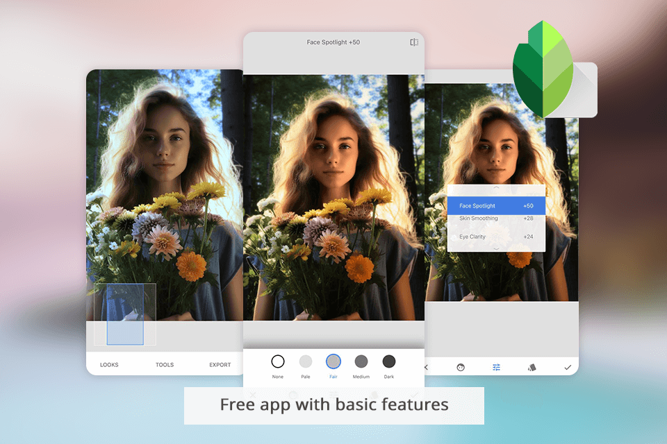 snapseed interface