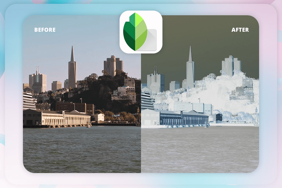 7 Best Picture Color Inverters [FREE]