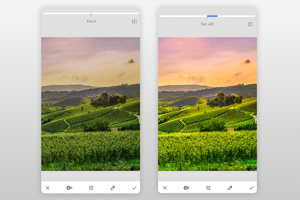 snapseed using the tint