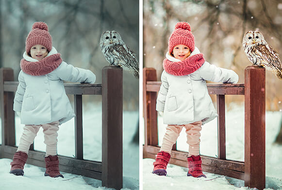predefinição de neve para lightroom