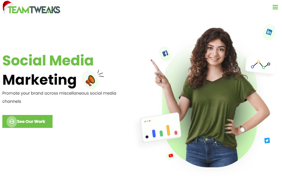 social media marketing agency in india image