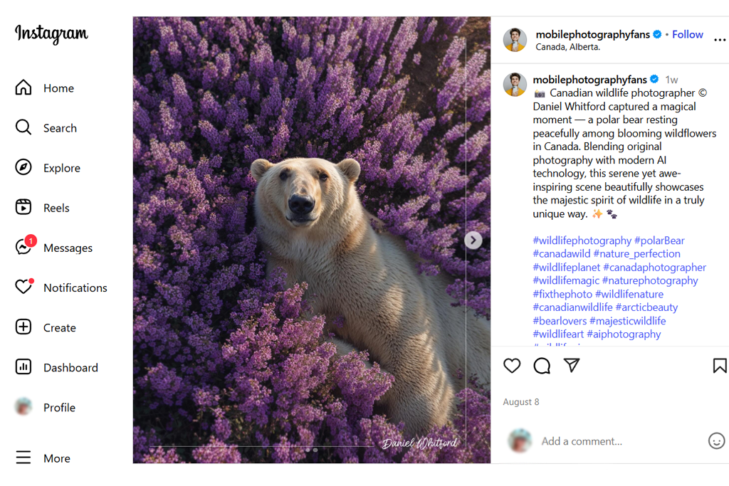 social media photography post example