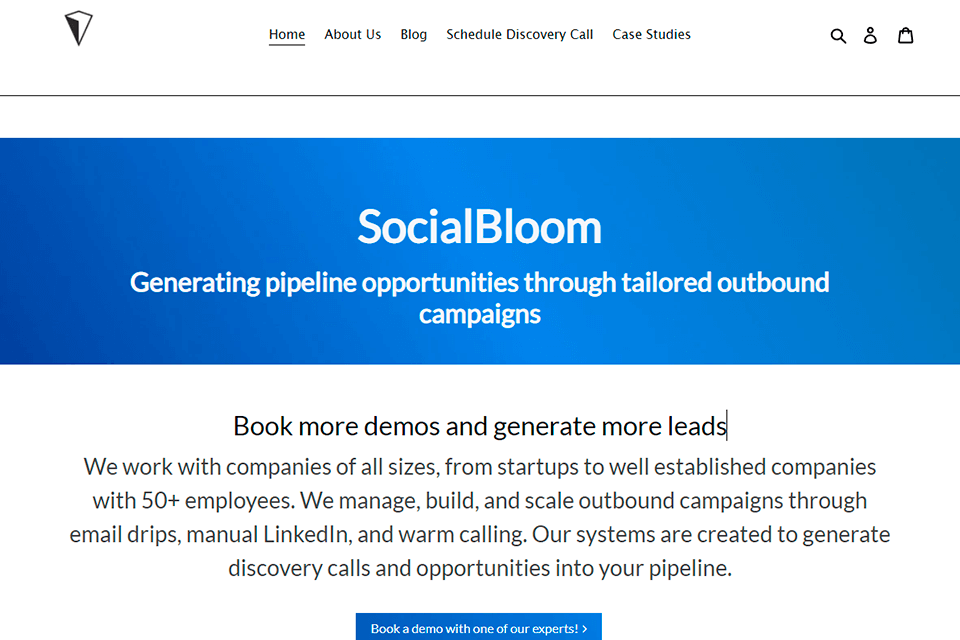 socialbloom email marketing agency interface
