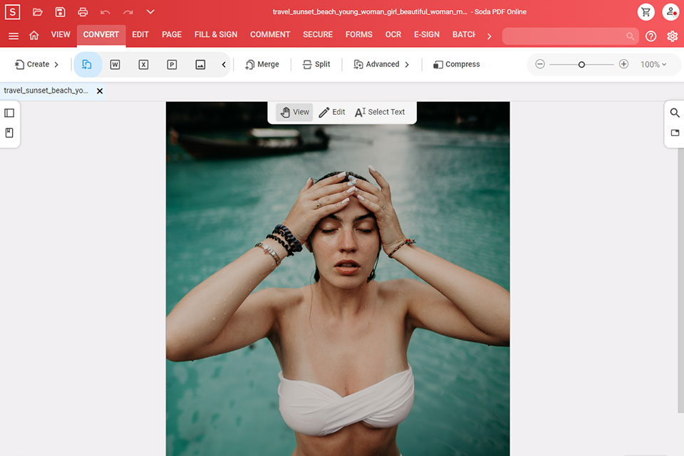 soda pdf jpg bis pdf converter schnittstelle