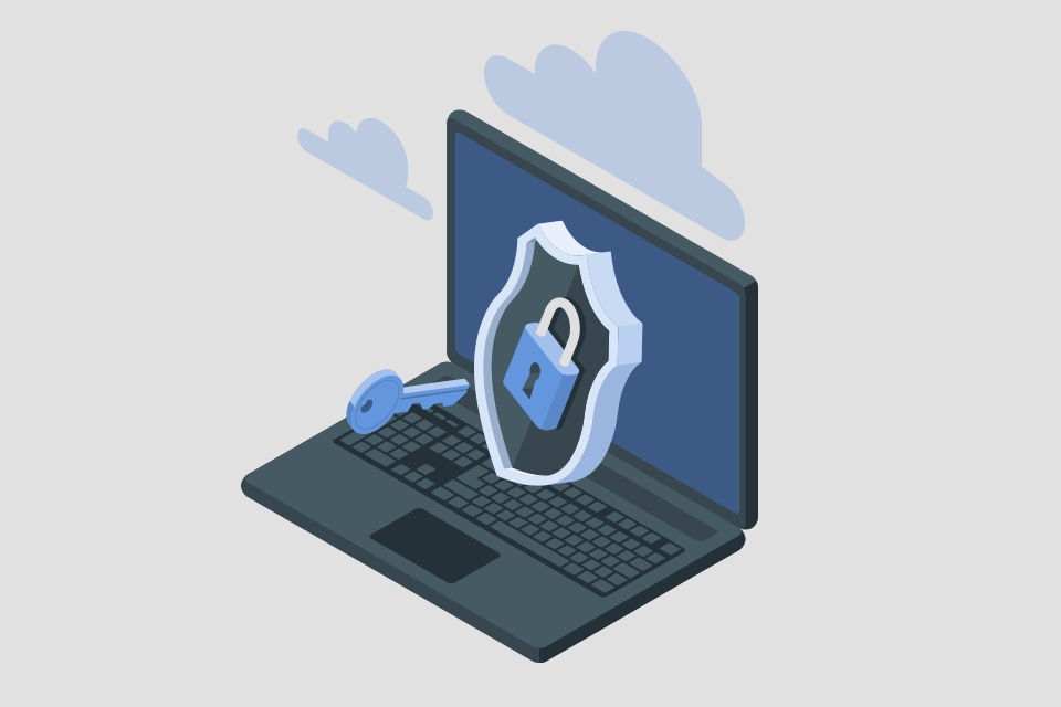 softermii agency cybersecurity services