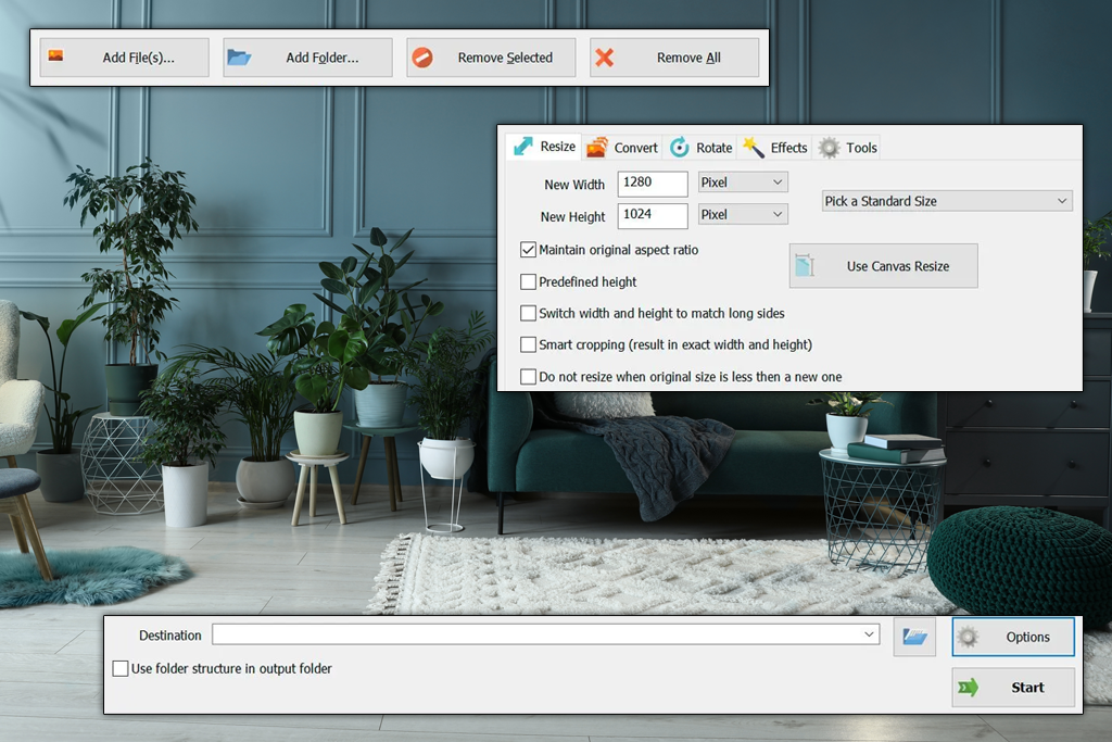 softorbits webp to jpg converter software