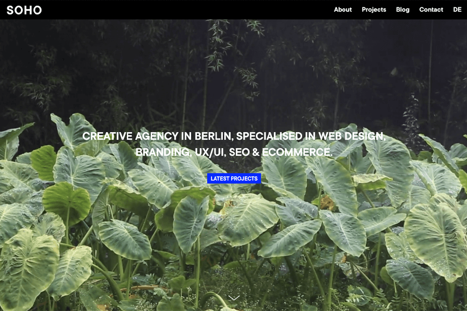 soho creative group official site