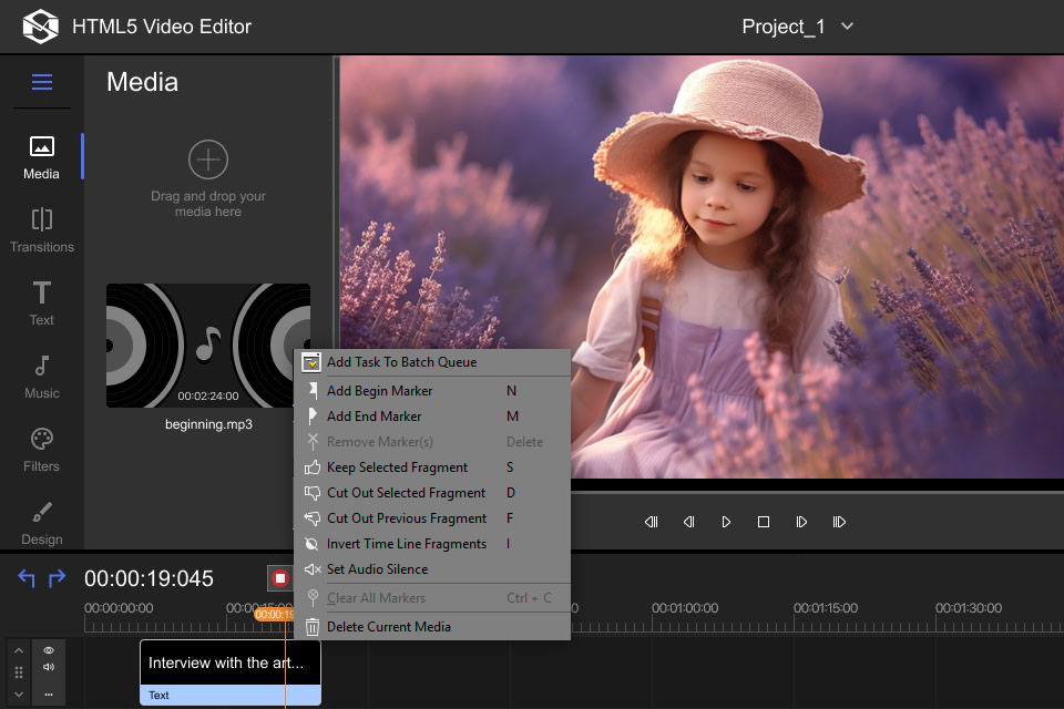 solveigmultimedia video editing software for mac interface