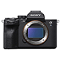sony a7s iii camera for night photography