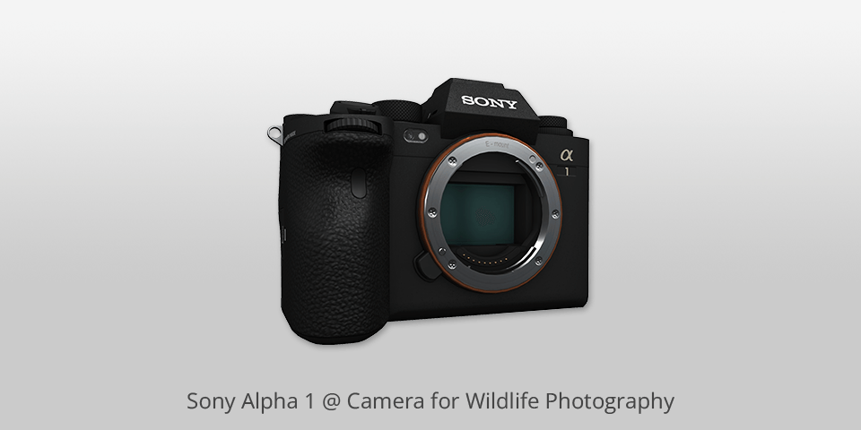 sony alpha 1 camera for wildlife photography
