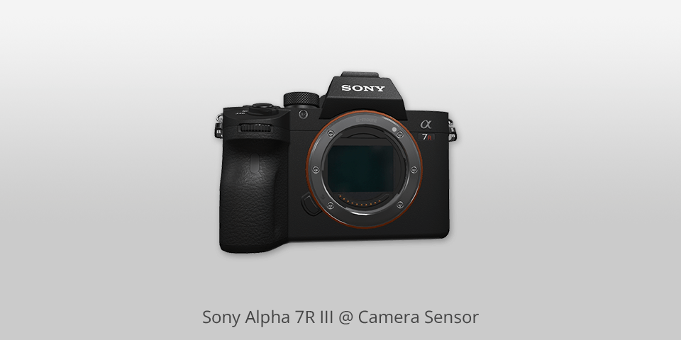 sony alpha 7r iii camera sensor