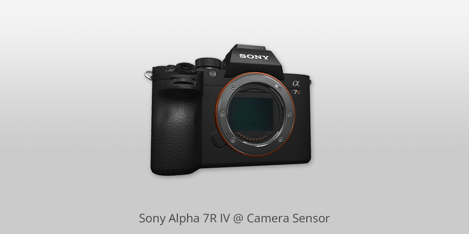 sony alpha 7r iv camera sensor