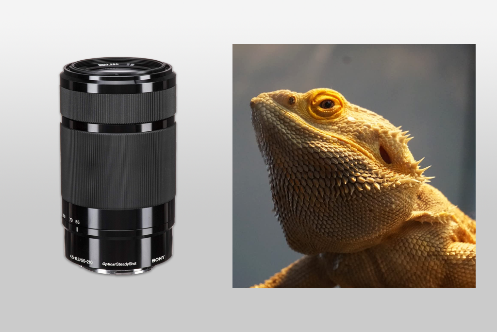 sony e 55-210mm sony a7 lens