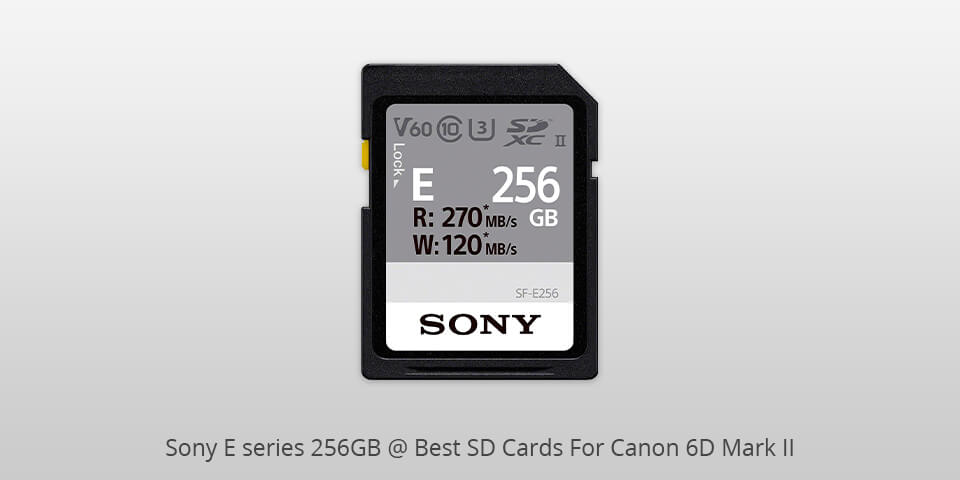 best sd card for canon 6d