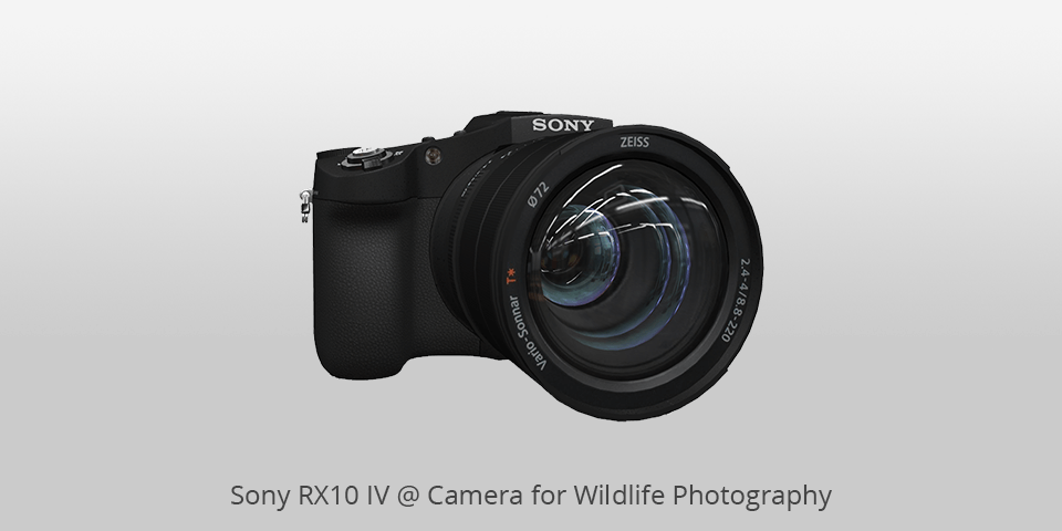 sony rx10 iv camera for wildlife photography