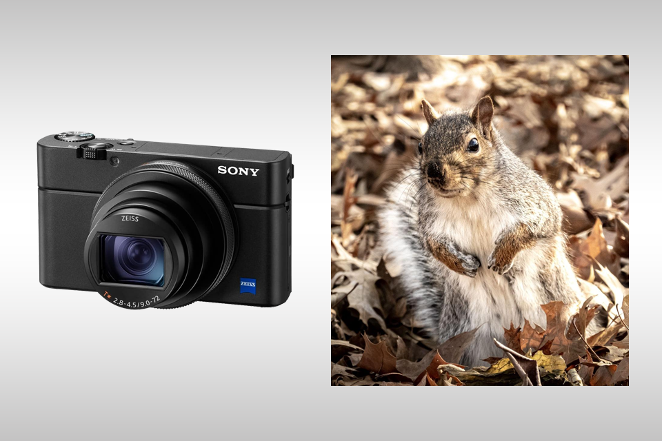 sony rx100 vii camera for everyday photography