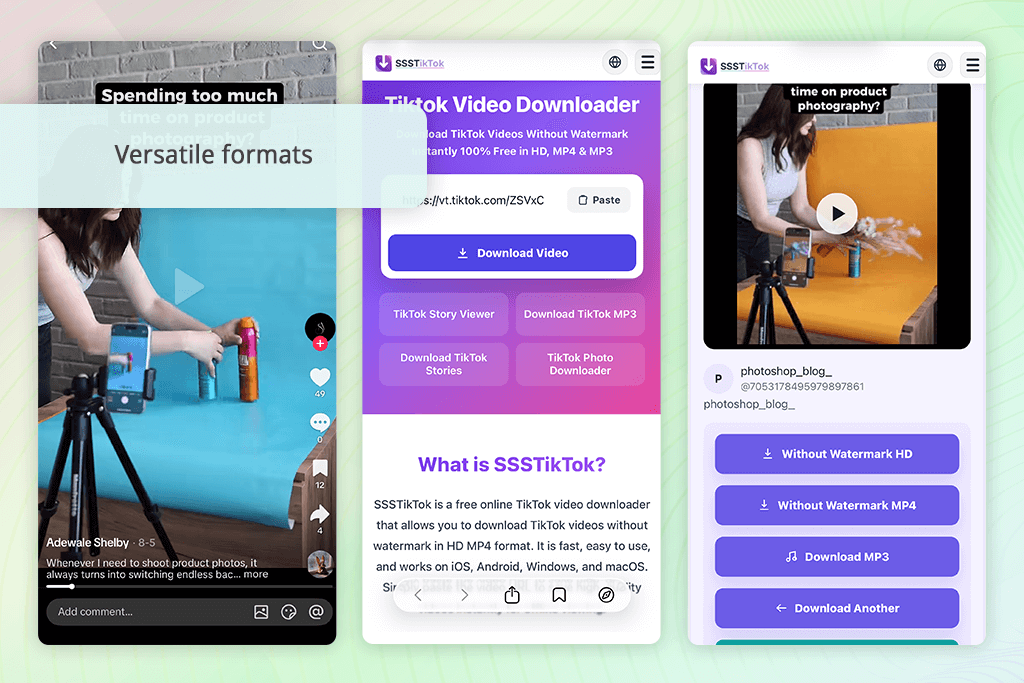 ssstiktok interface