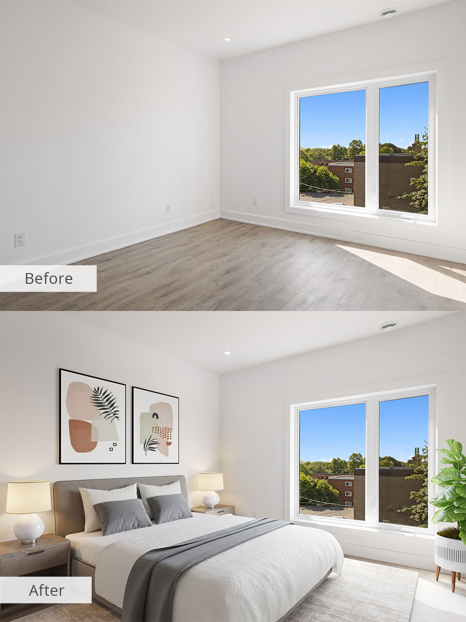 staged homes before and after photos with fresh plants