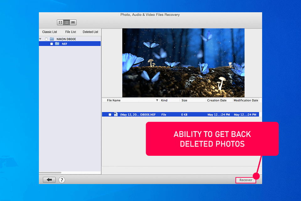 stellar data recovery interface