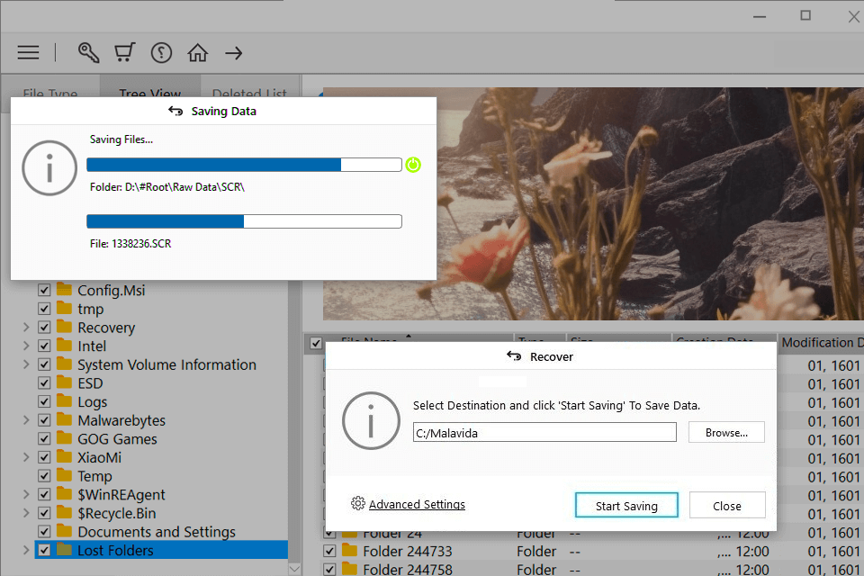 stellar photo recovery app interface