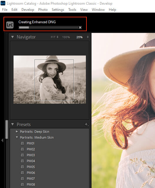 ميزة الدقة الفائقة adobe lightroom التشطيب