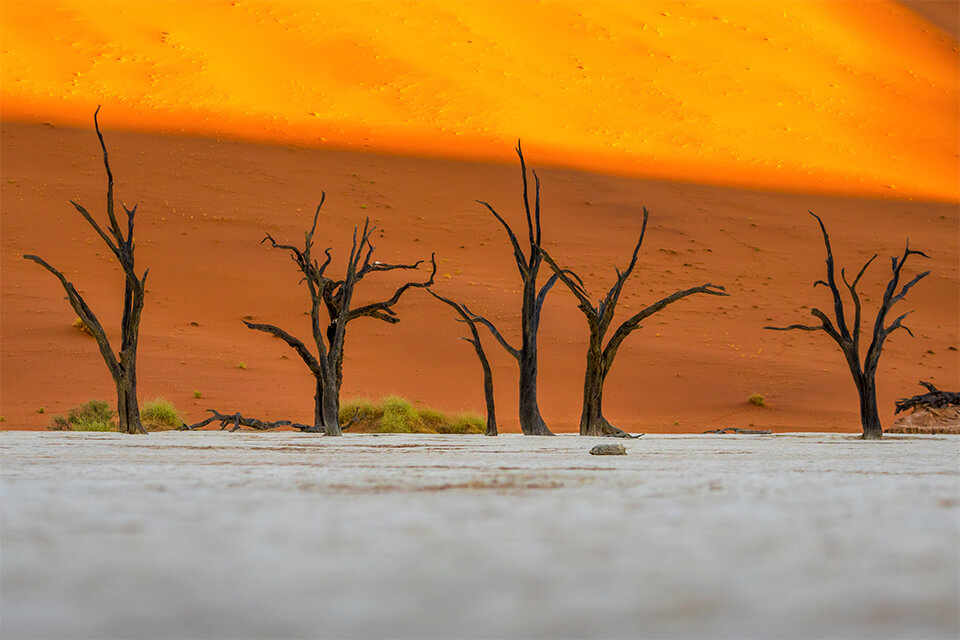 sustainability in photography cultural