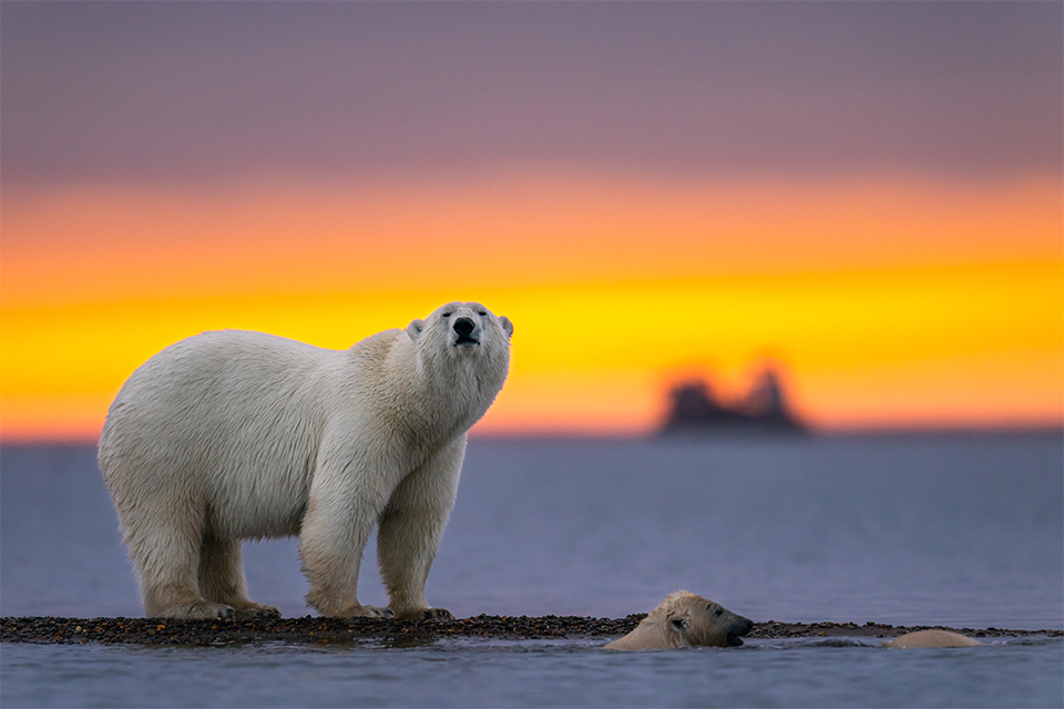 sustainability in photography environmental investigation