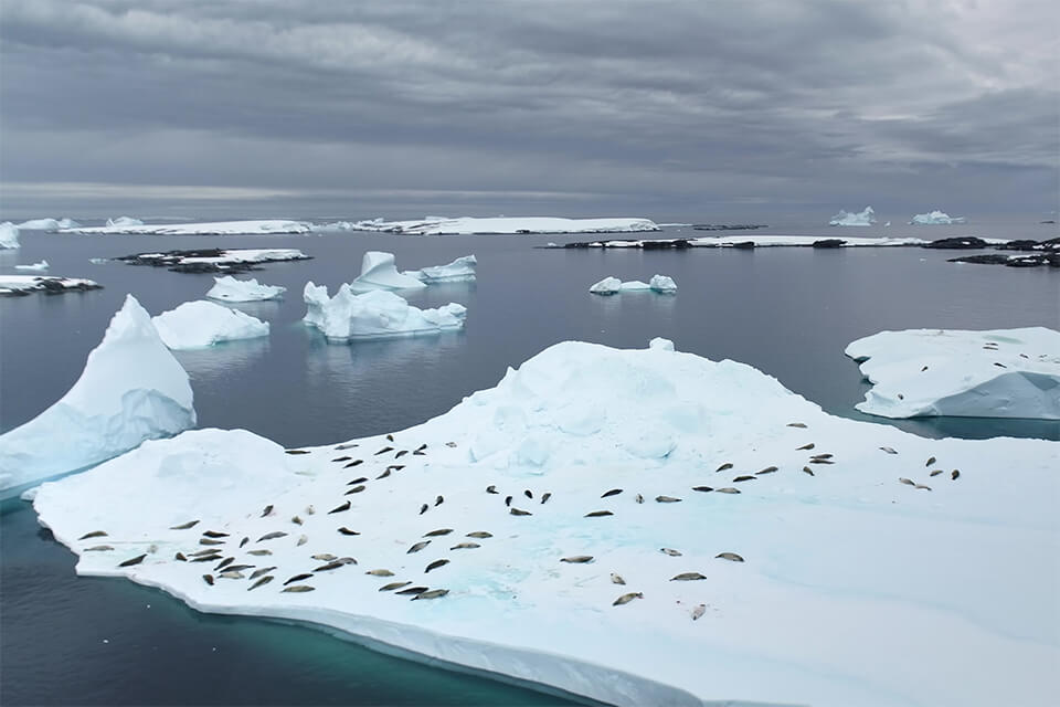 sustainability in photography location choices