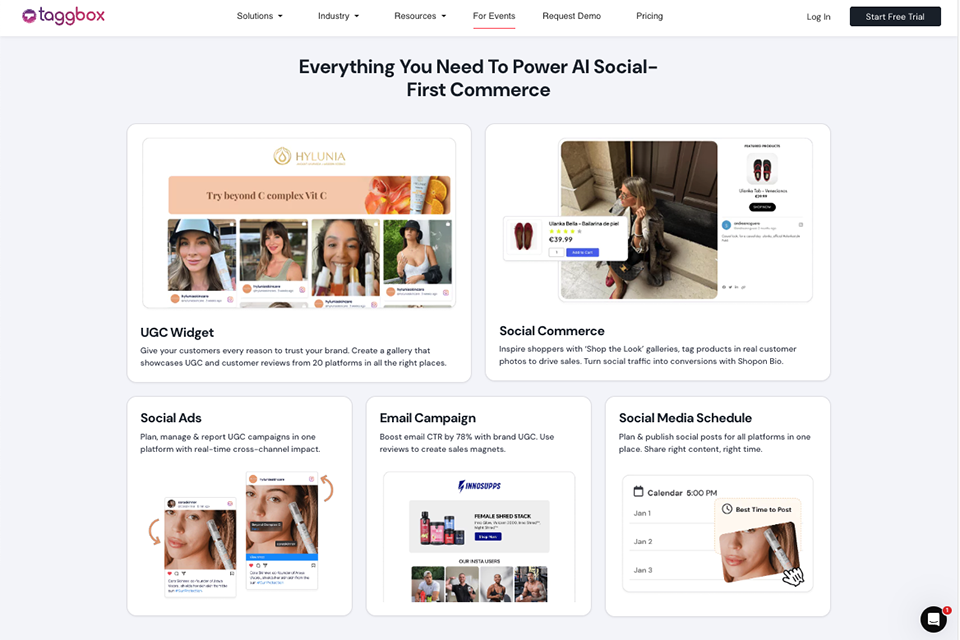 taggbox instagram marketing tool for rapid growth