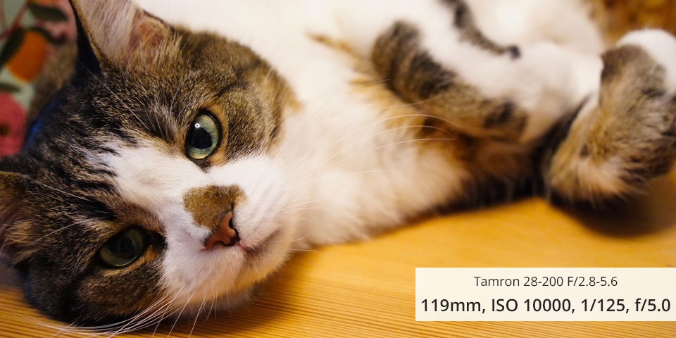 tamron 28-200 f/2.8-5.6 lens for sony a7