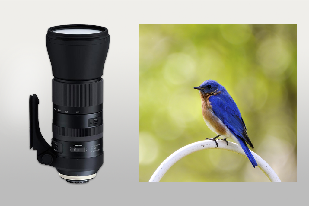 tamron sp 150-600mm f/5-6.3 lens