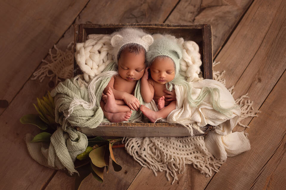 tara bergman newborn photographer example