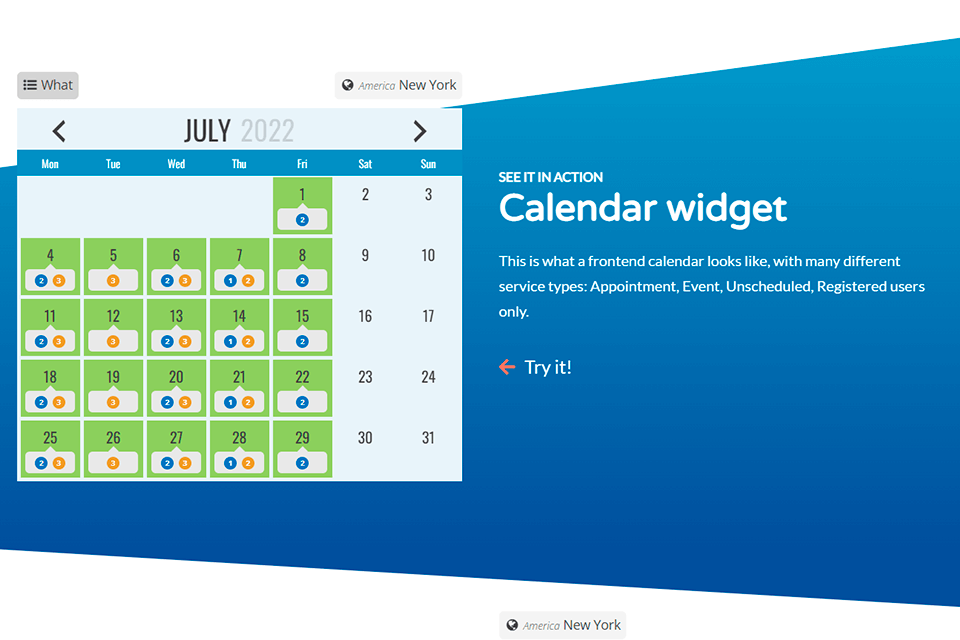 team booking wordpress booking plugin interface