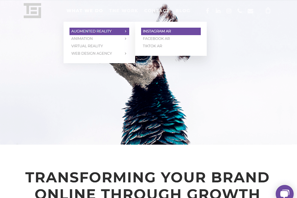 tej brand agency interface